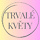 trvale-kvety