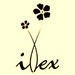 Ilex