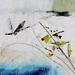 j.dasa