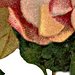 paperbag_overhead