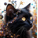 BC Cat