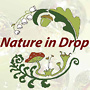 Nature in drop