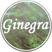 Ginegra