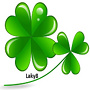 Laky8