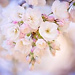 Magical World by Catherine
