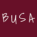 Busa