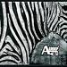 AAGROUP