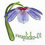 paraplicko-01