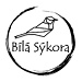 Sýkora Bílá