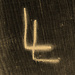 Lignum Lucet