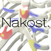 Nakost.