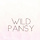 Wild Pansy