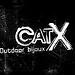 CatX