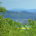 Šumavka