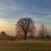 Intuico