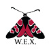 W.E.X.