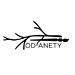 Od Anety