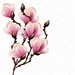 Studio Magnolie
