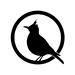Lark Patterns
