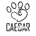 Caesar trendog