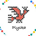 PlyskaHM