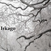 Irkago