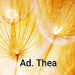 Ad. Thea