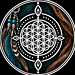 MandalIka