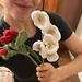 podejte.mi.jehlice