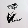 Avino