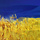OksanaS