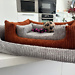 dog bed