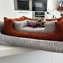 dog bed