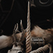 The Living Relic