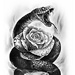 Anet Arts
