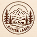 BambuLaser