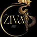 Art Živa