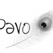 P A V O