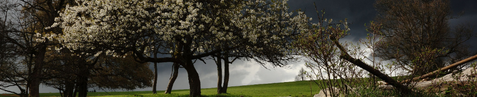 Banner profilu