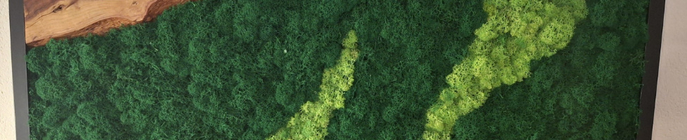 Banner profilu