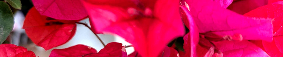 Banner profilu