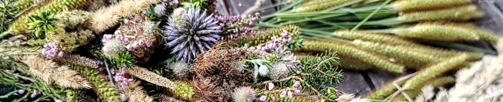 Banner profilu