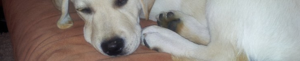 Banner profilu