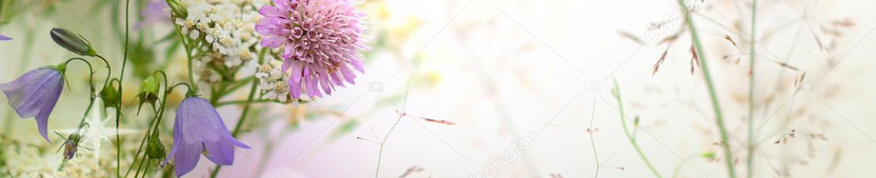 Banner profilu