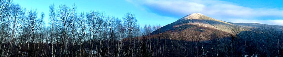 Banner profilu