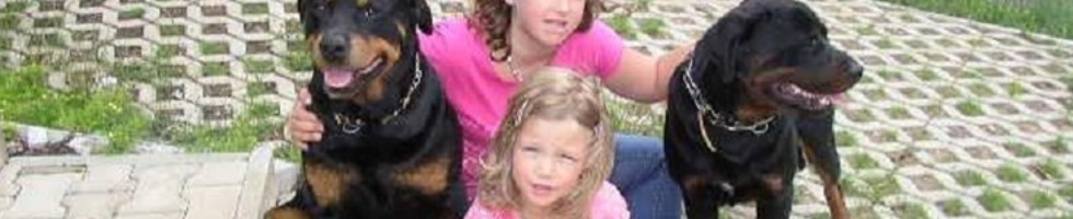 Banner profilu
