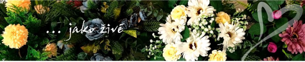 Banner profilu