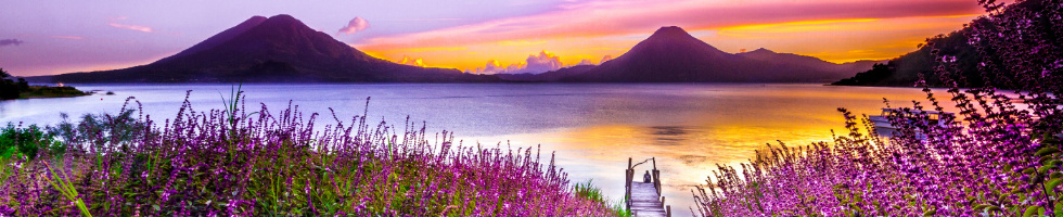 Banner profilu