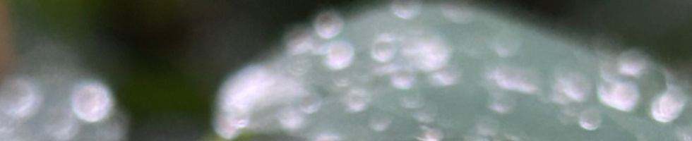 Banner profilu