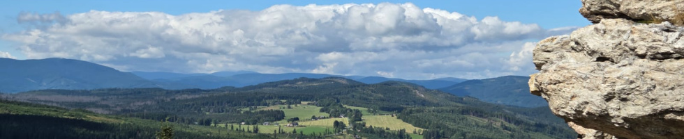 Banner profilu